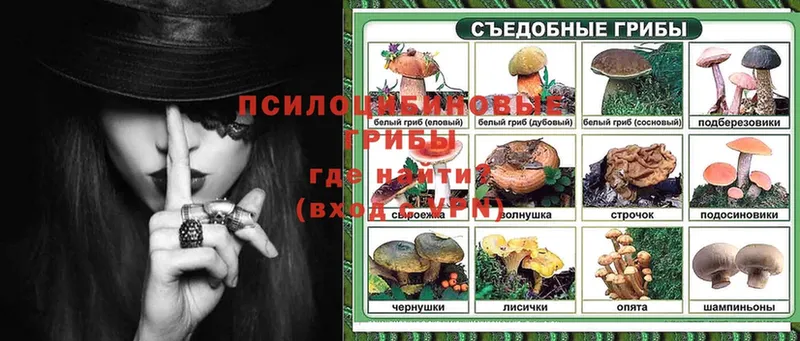 купить наркотики сайты  Иланский  Галлюциногенные грибы MAGIC MUSHROOMS 